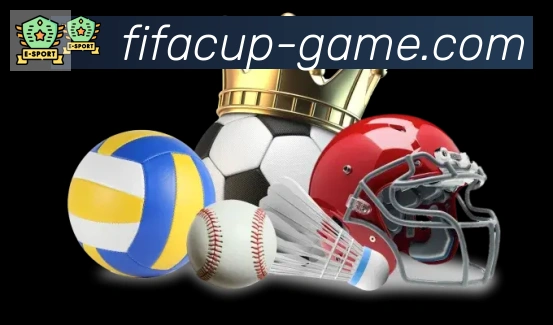 FIFA世界杯赛事官方网站荣誉